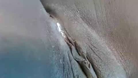 lyiajee online show from 23, 9, 2025