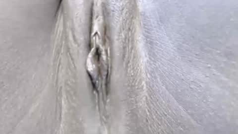 lyiajee online show from 14, 10, 2025