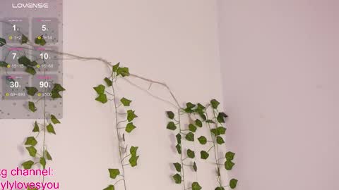 Lyly   online show from 10, 10, 2025