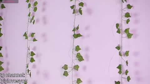 Lyly   online show from 18, 11, 2025