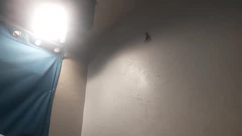 mac11thizzelw online show from 31, 3, 2026