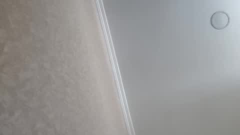 Snapshot of machine2291 chatting on 23, 2, 2026 Tchia online show from 23, 2, 2026