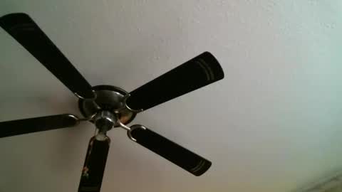 Snapshot of mad_dem0n chatting on 5, 1, 2025 Manuel online show from 5, 1, 2025