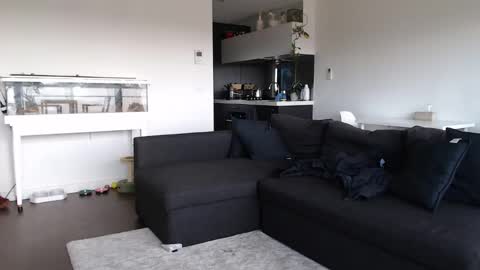 Snapshot of maddiemeekxo chatting on 10, 2, 2025 Maddie Meek  online show from 10, 2, 2025