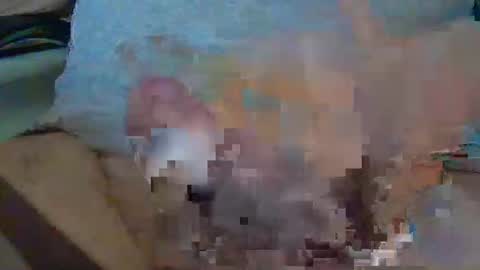 Snapshot of madmax98 chatting on 16, 12, 2025 Max online show from 16, 12, 2025