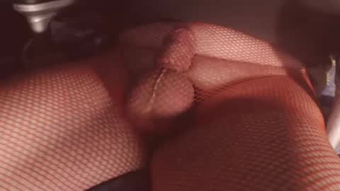 maestro2017 online show from 6, 2, 2026