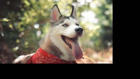 Snapshot of magic_katarina_ chatting on 25, 1, 2025 magic_katarina_ online show from 25, 1, 2025