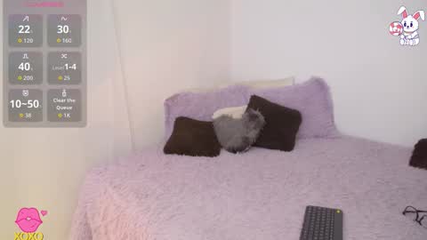    t  online show from 27, 3, 2026