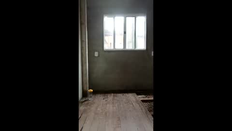 SILVA online show from 1, 3, 2026