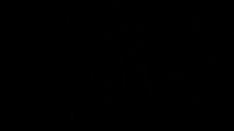 mailo online show from 9, 10, 2025