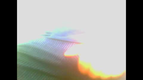 Snapshot of maioris6 chatting on 22, 2, 2025 maioris6 online show from 22, 2, 2025