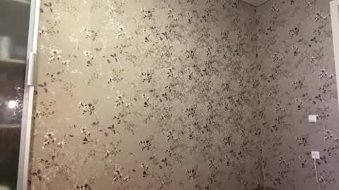 DIna online show from 9, 4, 2026