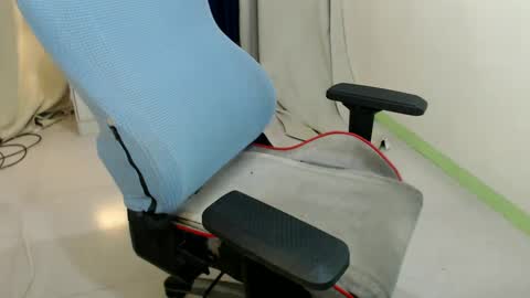 Snapshot of majestic_anne chatting on 2, 12, 2024 Annalyn online show from 2, 12, 2024