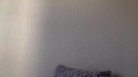 Snapshot of majo_gomezz chatting on 20, 3, 2026 majo_gomezz online show from 20, 3, 2026
