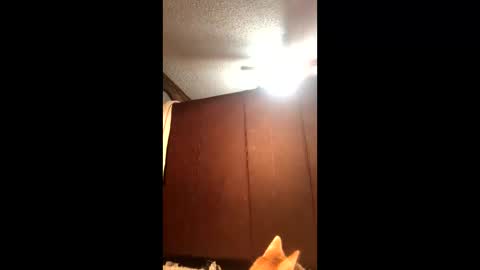 KarizmaticKitten online show from 21, 2, 2026