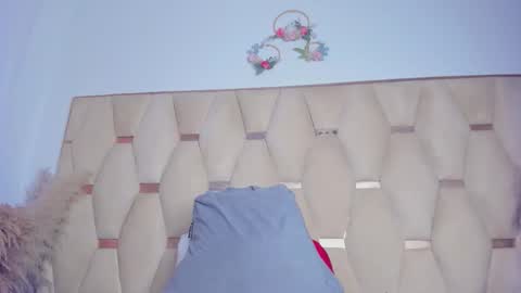 malaaiikaa online show from 24, 2, 2026