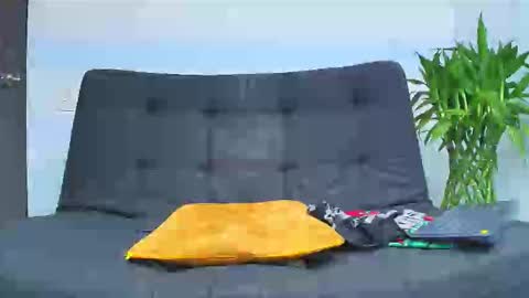 Snapshot of malcompierce chatting on 6, 2, 2026 Malcom online show from 6, 2, 2026