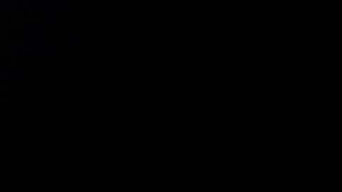 Alice Asylum online show from 17, 11, 2025