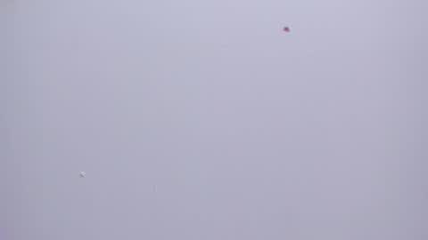 malory__jones online show from 16, 1, 2026