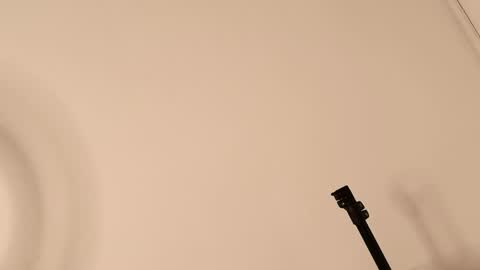 Lory  online show from 12, 4, 2026