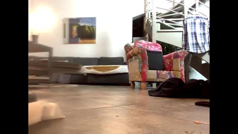 Snapshot of man38110 chatting on 14, 2, 2025 man38110 online show from 14, 2, 2025