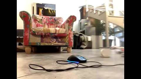 Snapshot of man38110 chatting on 9, 3, 2025 man38110 online show from 9, 3, 2025