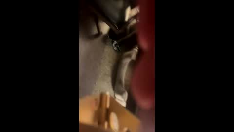 Kaleb online show from 5, 11, 2025