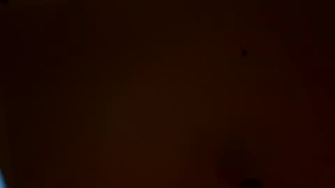 Snapshot of maniak_paraphiliacz chatting on 22, 7, 2026 Jan and Man online show from 22, 7, 2026