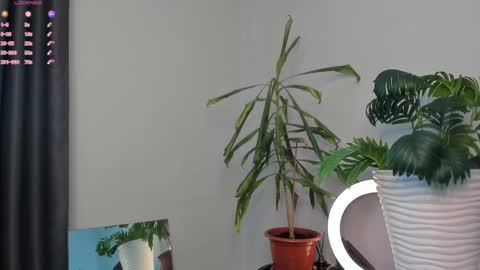 Snapshot of manita_misti chatting on 5, 5, 2026 Manita online show from 5, 5, 2026