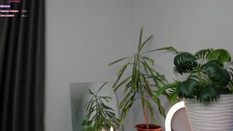 Snapshot of manita_misti chatting on 8, 5, 2026 Manita online show from 8, 5, 2026