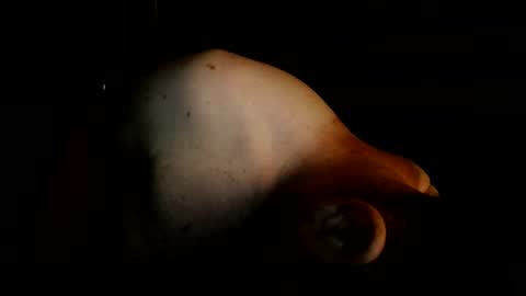 Snapshot of mantittsndick chatting on 2, 8, 2026 guywittitsndick online show from 2, 8, 2026