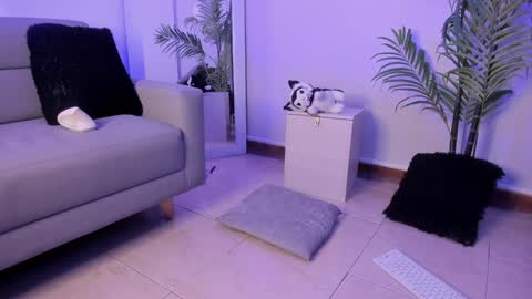 Snapshot of manu_velez_ chatting on 17, 1, 2025 Manu Velez online show from 17, 1, 2025