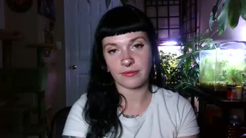 Snapshot of marcelinealtaria chatting on 29, 12, 2024 MarcelineAltaria online show from 29, 12, 2024