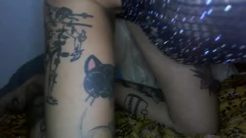 margotshorse online show from 22, 2, 2026