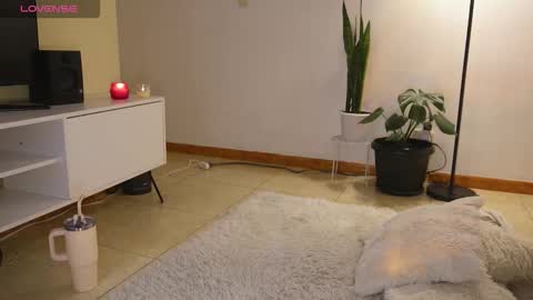 M. online show from 19, 11, 2025