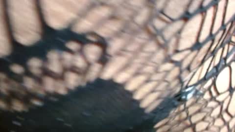 marielahorny303av online show from 21, 12, 2025