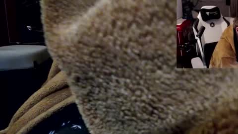 markass87 online show from 4, 4, 2026