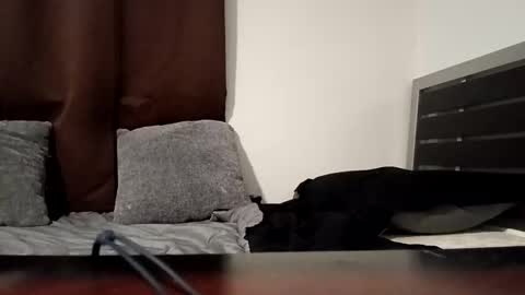 Snapshot of markbwcusmc chatting on 15, 1, 2026 markbwcusmc online show from 15, 1, 2026