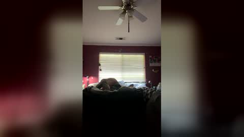 markcali87 online show from 20, 2, 2026