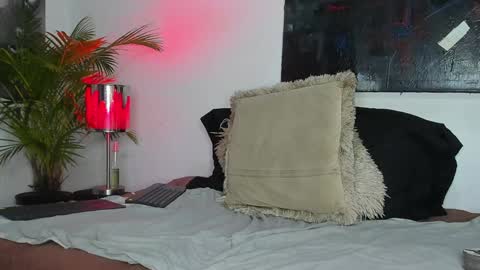 Snapshot of markus_latin chatting on 26, 12, 2024 Markus latin online show from 26, 12, 2024