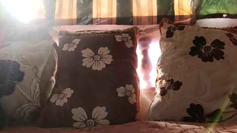 Snapshot of marocreda33 chatting on 24, 12, 2024 marocreda33 online show from 24, 12, 2024