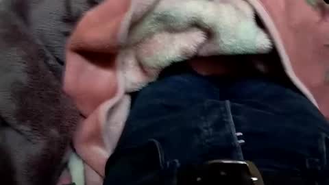 Snapshot of marocreda33 chatting on 11, 3, 2025 marocreda33 online show from 11, 3, 2025