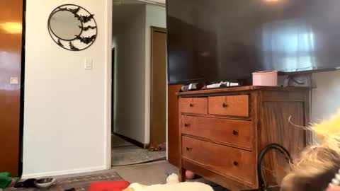 maroon_moon online show from 14, 2, 2025