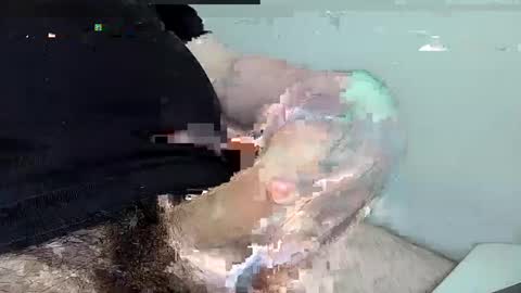 Snapshot of mas12345678910 chatting on 1, 12, 2024 mas12345678910 online show from 1, 12, 2024