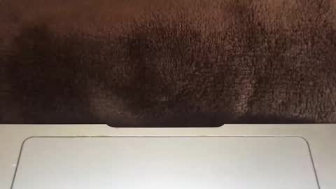 Snapshot of massivehungbigdick chatting on 2, 6, 2026 massivehungbigdick online show from 2, 6, 2026