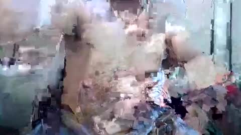 masterch6 online show from 25, 2, 2025