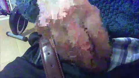 mastercock19586 online show from 11, 2, 2026