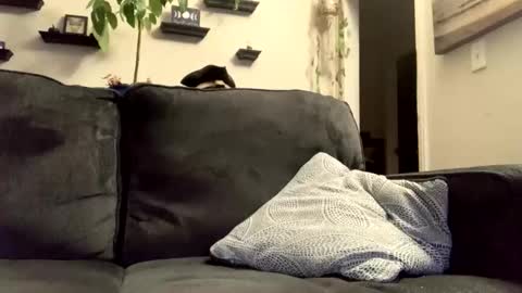 masturbationsession69 online show from 8, 1, 2026