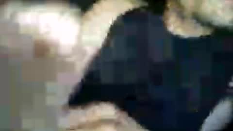 Snapshot of matiasva73 chatting on 7, 7, 2026 matiasva73 online show from 7, 7, 2026