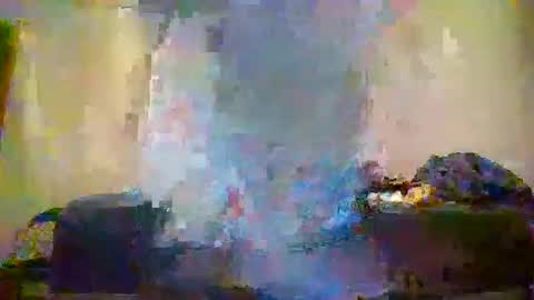 Snapshot of matt48195571828 chatting on 31, 5, 2026 matt48195571828 online show from 31, 5, 2026